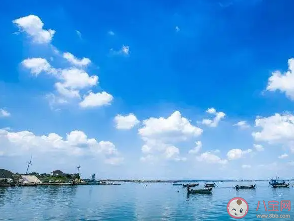 海草床紅樹林和哪類沿海生態系統被定義為藍色碳匯 神奇海洋9月8日答案