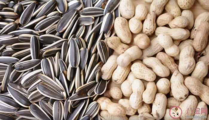 瓜子算堅果嗎 花生算堅果嗎