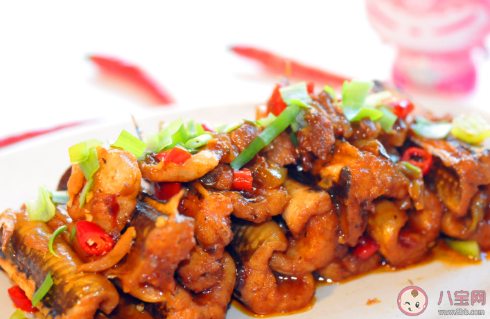 黃鱔算魚嗎營養(yǎng)怎么樣 黃鱔有哪些好吃做法