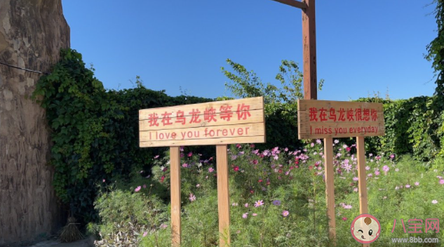 這次我不想逃喝掉失憶毒藥是什么歌 《毒藥》歌詞歌曲介紹