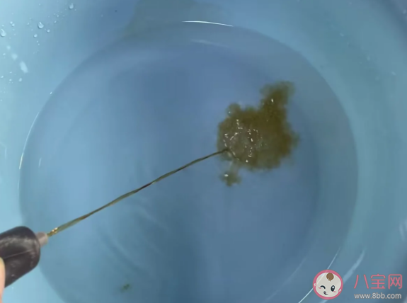 藿香正氣水泡腳有效嗎 泡腳的正確打開方式是什么