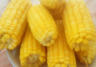 用玉米代替寶寶主食好嗎 孩子吃玉米有什么好處