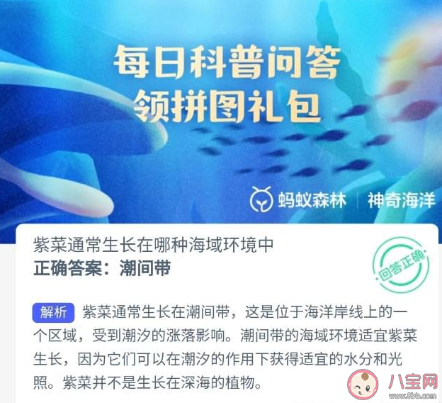 螞蟻新村紫菜通常生長在哪種海域環境中 9月15日答案