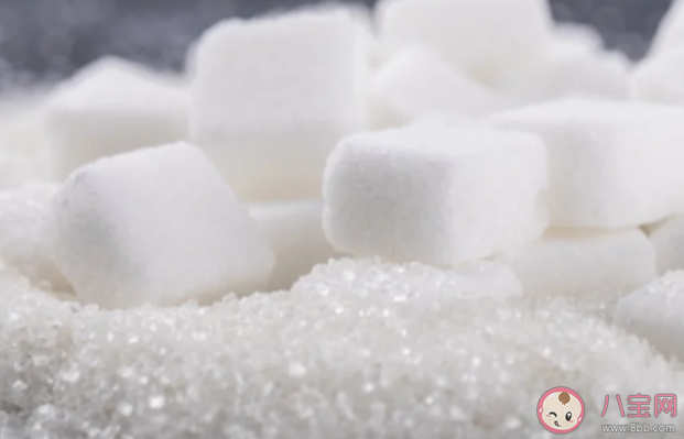 甜味劑會導(dǎo)致肥胖嗎 日常接觸的甜味劑有什么 甜味劑會導(dǎo)致肥胖嗎 日常接觸的甜味劑有什么