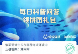 紫菜通常生長在哪種海域環境中 神奇海洋9月15日答案