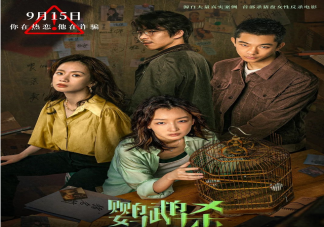 電影《鸚鵡殺》好不好看 如何看待周冉的復仇