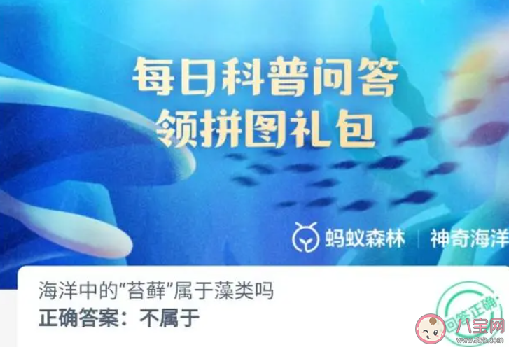 海洋中的苔蘚屬于藻類嗎 神奇海洋9月16日答案 海洋中的苔蘚屬于藻類嗎 神奇海洋9月16日答案