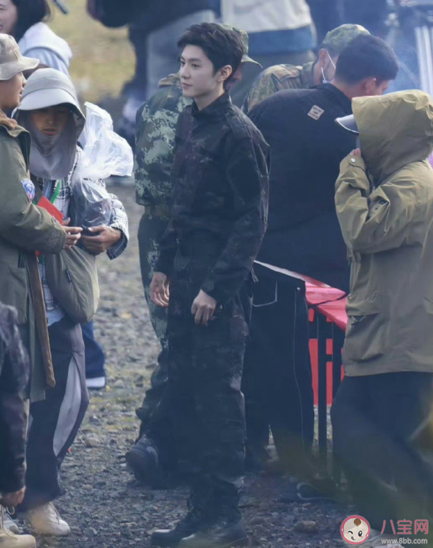 《白色橄欖樹》原著小說是什么 《白色橄欖樹》結局有多虐