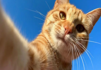 為什么自拍沒有鏡子里的你好看 鏡子和自拍里哪個你更好看