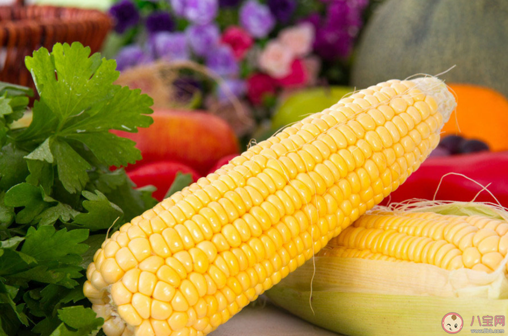 玉米吃了真的不會胖嗎 甜玉米和糯玉米哪個熱量低