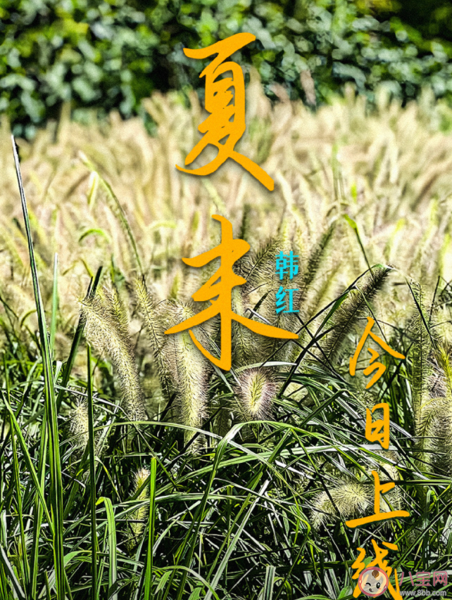 韓紅新歌《夏末》歌詞是什么 《夏末》歌詞歌曲介紹