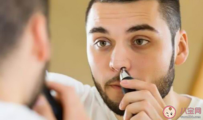 為什么鼻毛不能拔 鼻毛有什么作用