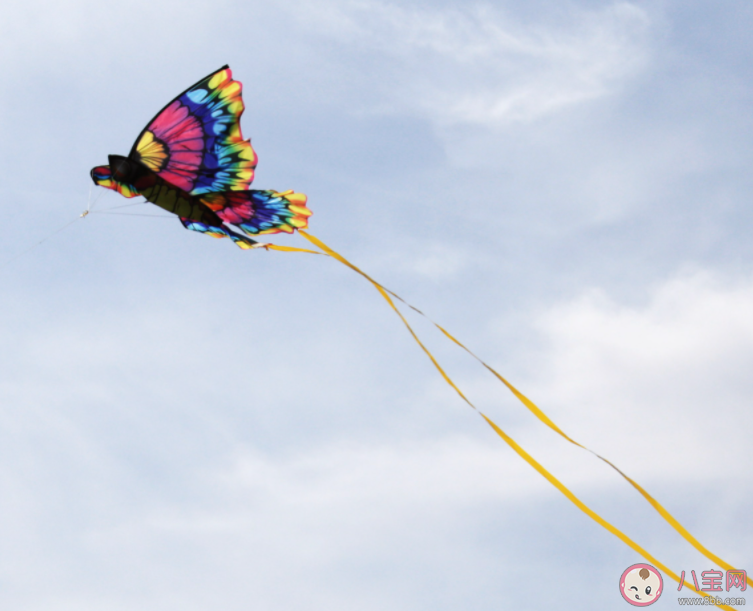 哪個城市被推崇為世界風箏之都 螞蟻新村9月20日答案 哪個城市被推崇為世界風箏之都 螞蟻新村9月20日答案