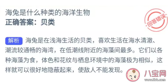 海兔是什么種類的海洋生物 神奇海洋9月20日答案 海兔是什么種類的海洋生物 神奇海洋9月20日答案