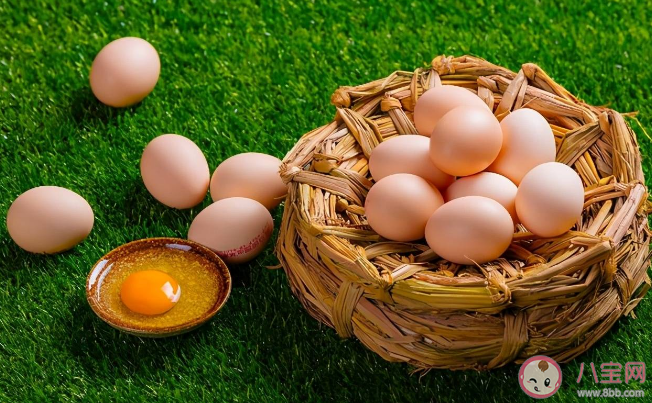 可生食雞蛋安全嗎 如何看待可生食雞蛋的流行 可生食雞蛋安全嗎 如何看待可生食雞蛋的流行