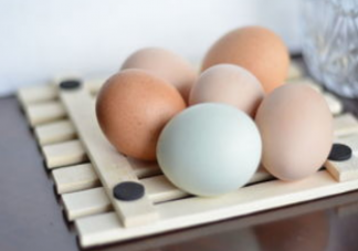 可生食雞蛋安全嗎 如何看待可生食雞蛋的流行