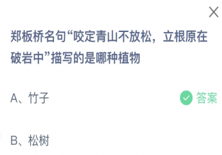 鄭板橋名句咬定青山不放松立根原在破巖中描寫的是哪種植物 螞蟻莊園9月22日答案