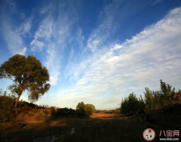 秋高氣爽中的秋高通常指的是什么 螞蟻莊園9月24日答案