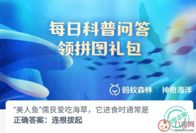 美人魚儒艮愛吃海草它進食時通常是怎么樣吃 神奇海洋9月25日答案 美人魚儒艮愛吃海草它進食時通常是怎么樣吃 神奇海洋9月25日答案