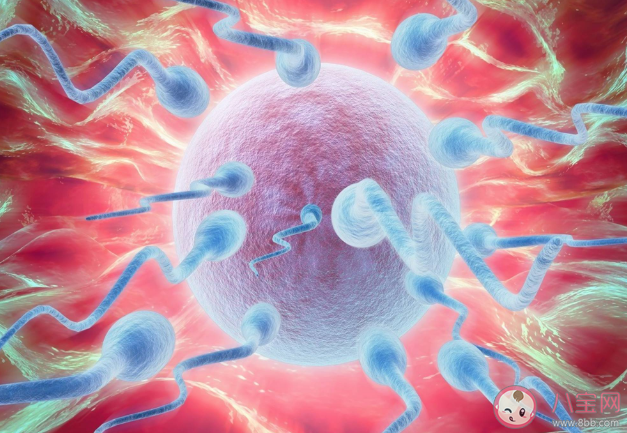 女性400多顆卵子排完就絕經了嗎 女性需要保存多少卵子才能確保懷孕 女性400多顆卵子排完就絕經了嗎 女性需要保存多少卵子才能確保懷孕