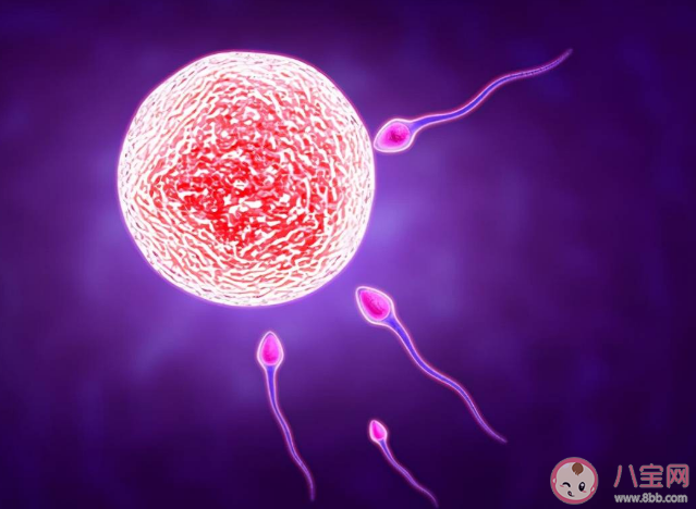 女性400多顆卵子排完就絕經了嗎 女性需要保存多少卵子才能確保懷孕 女性400多顆卵子排完就絕經了嗎 女性需要保存多少卵子才能確保懷孕