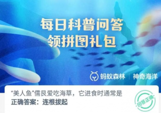 美人魚儒艮愛吃海草它進食時通常是怎么樣吃 神奇海洋9月25日答案