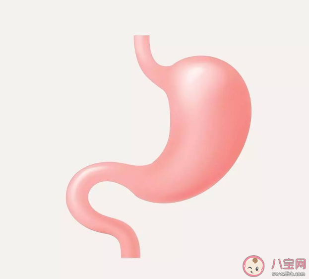 為什么久坐工作容易餓而一直走動不會 特別容易餓是什么原因