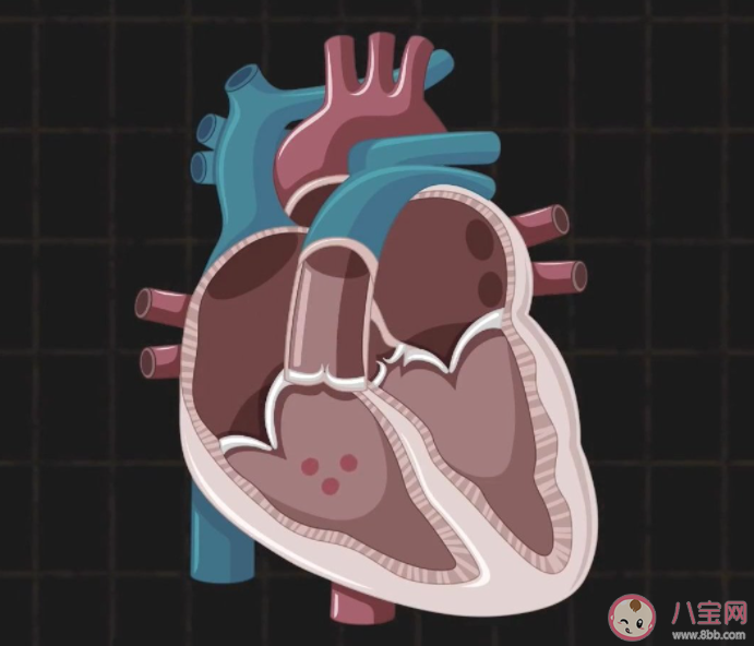 熬夜后的心臟有哪些變化 應該怎樣保護心臟