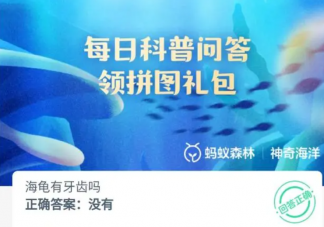 海龜有牙齒嗎 神奇海洋9月28日答案