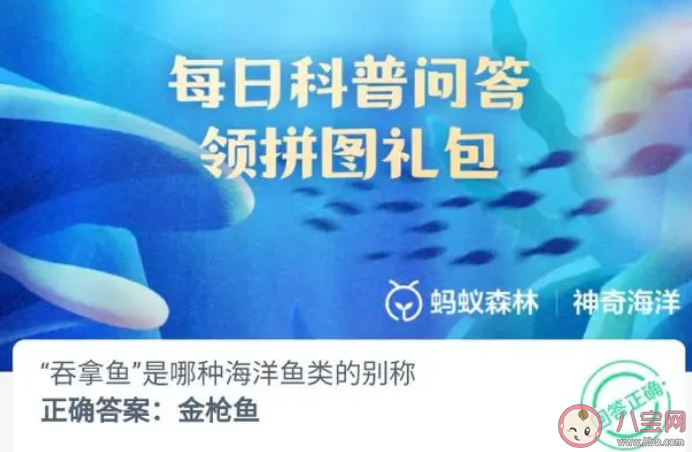 吞拿魚是哪種海洋魚類的別稱 神奇海洋9月30日答案 吞拿魚是哪種海洋魚類的別稱 神奇海洋9月30日答案