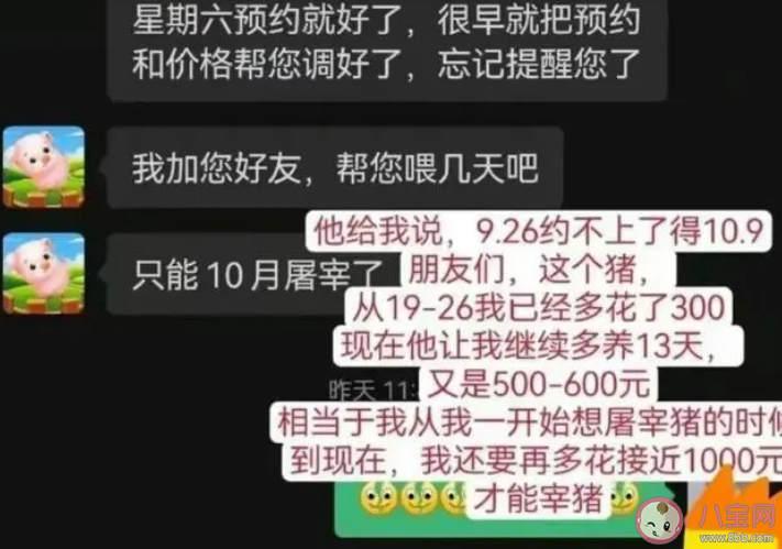 女子花8000元網上云養一頭豬 如何看待云養豬 女子花8000元網上云養一頭豬 如何看待云養豬