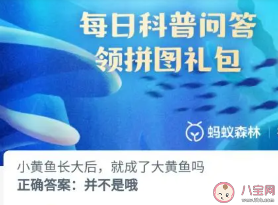 小黃魚長大后就成了大黃魚嗎 神奇海洋10月1日答案 小黃魚長大后就成了大黃魚嗎 神奇海洋10月1日答案