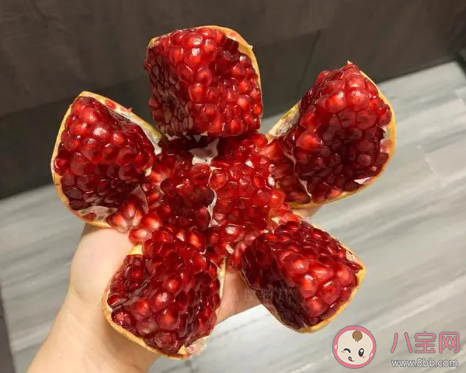 榴枝婀娜榴實繁榴膜輕明榴子鮮描寫的是哪種秋季時令水果 螞蟻莊園10月2日答案介紹 榴枝婀娜榴實繁榴膜輕明榴子鮮描寫的是哪種秋季時令水果 螞蟻莊園10月2日答案介紹