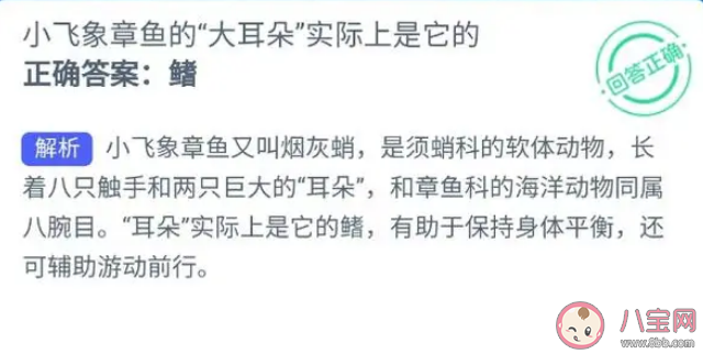 小飛象章魚的大耳朵實際上是它的什么 神奇海洋10月7日答案 小飛象章魚的大耳朵實際上是它的什么 神奇海洋10月7日答案