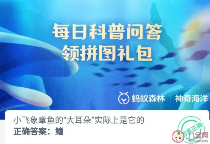 小飛象章魚的大耳朵實際上是它的鰭還是鰓 神奇海洋10月7日答案 小飛象章魚的大耳朵實際上是它的鰭還是鰓 神奇海洋10月7日答案