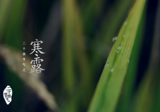 寒露百花凋猜猜哪種花會(huì)在寒露時(shí)節(jié)盛開 螞蟻莊園10月8日答案