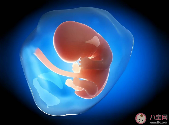 人造子宮真的要來了嗎 我們離人造子宮還有多遠(yuǎn)