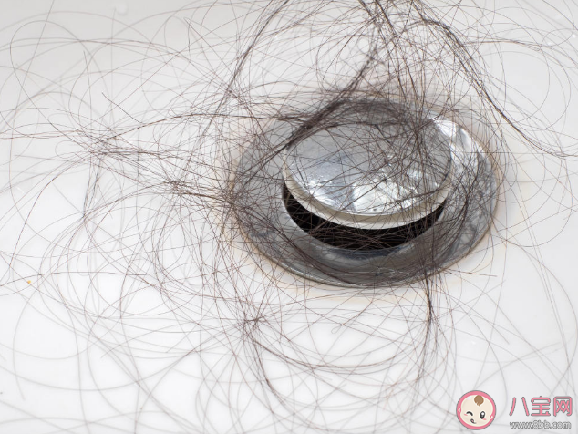 硬水洗頭會掉發嗎 洗頭時掉發和洗頭有關系嗎