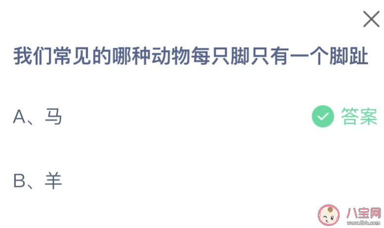 我們常見的哪種動物每只腳只有一個腳趾 螞蟻莊園10月11日答案