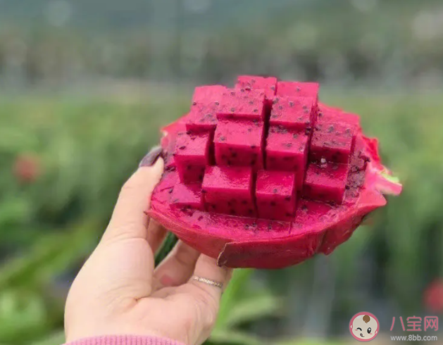 廣西街頭10元能買70個火龍果是真的嗎 火龍果哪些人不能吃