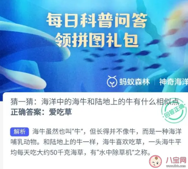 海洋中的海牛和陸地上的牛有什么相似點 螞蟻森林神奇海洋10月11日答案