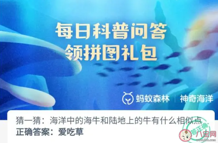 海牛和陸地上的牛有什么相似點 神奇海洋10月11日答案 海牛和陸地上的牛有什么相似點 神奇海洋10月11日答案