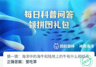 海牛和陸地上的牛有什么相似點 神奇海洋10月11日答案