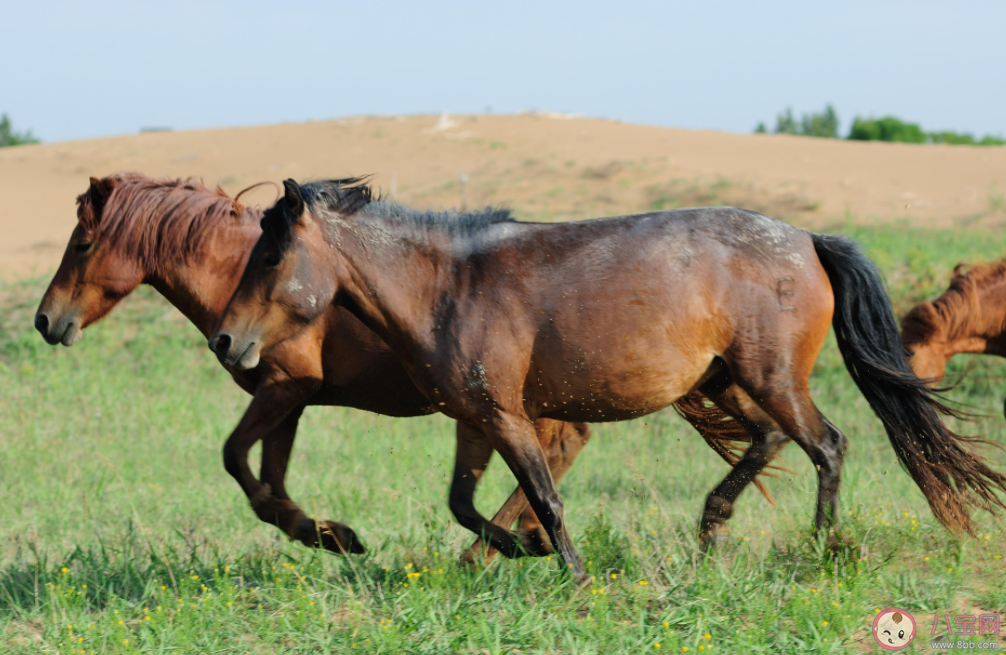 毛病一詞中毛最早指的是什么 螞蟻莊園10月13日答案介紹