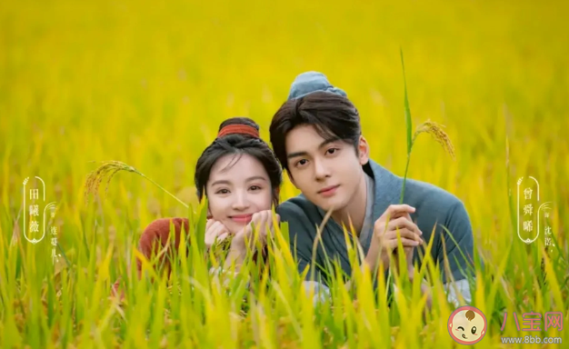 《田耕紀》原著小說是什么 《田耕紀》結局是什么