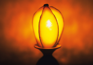 夜間接觸更多光更易患抑郁癥 光照對人體有什么影響