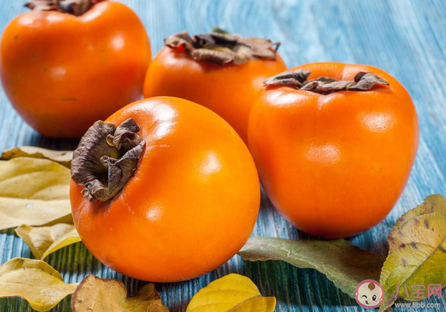 空腹吃柿子會(huì)得結(jié)石嗎 柿子是發(fā)物嗎