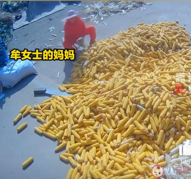 岳母來走親戚結(jié)果連剝十幾天玉米 玉米怎么剝更輕松