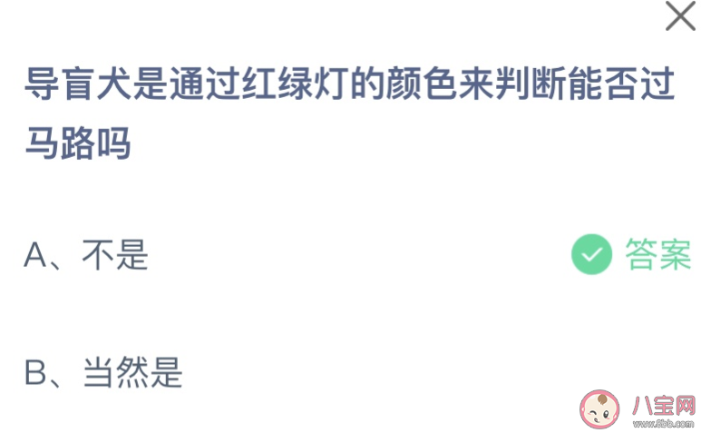 導盲犬是通過紅綠燈來判斷過馬路嗎 螞蟻莊園10月17日答案介紹 導盲犬是通過紅綠燈來判斷過馬路嗎 螞蟻莊園10月17日答案介紹
