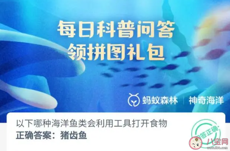 以下哪種海洋魚類會(huì)利用工具打開食物 螞蟻莊園10月17日答案最新